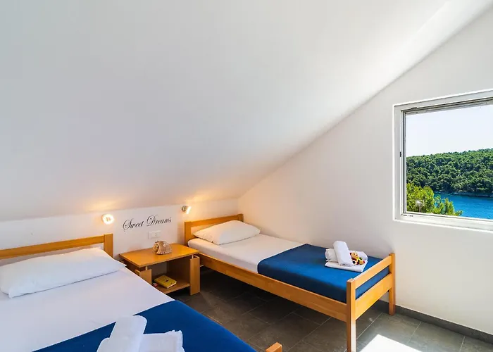 Apartman Amazing In With Wifi Milna